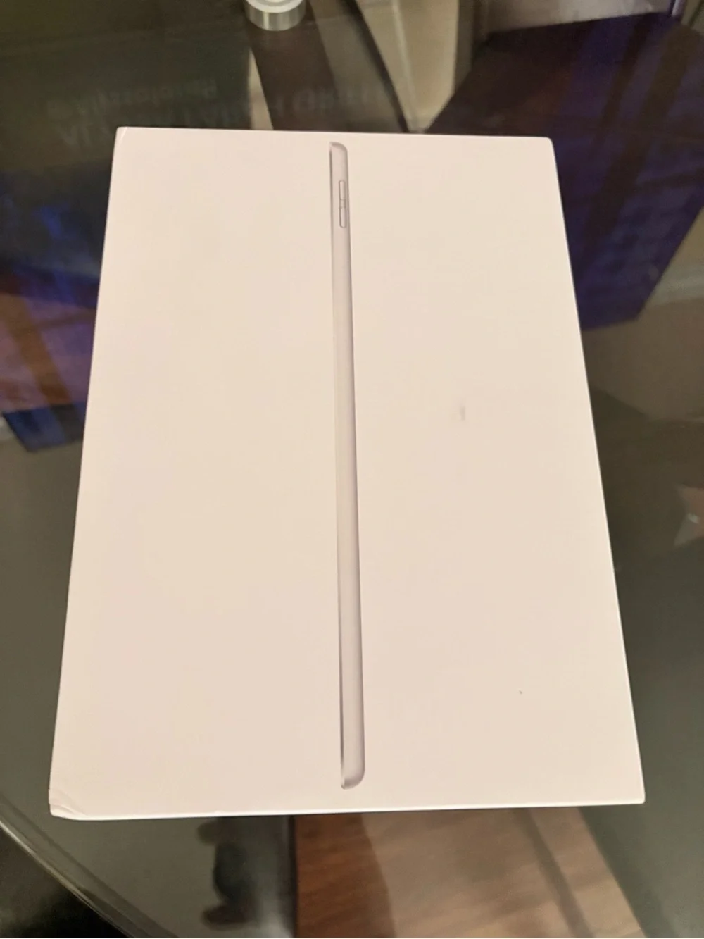 Apple iPad - Silver/White Back
